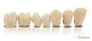 VarseoSmile Crown plus B1